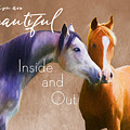 Beautiful Loving Horses