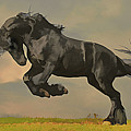 Leaping Stallion #1
