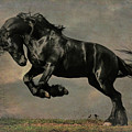 Leaping Stallion - stormy