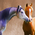 Loving Horse Couple